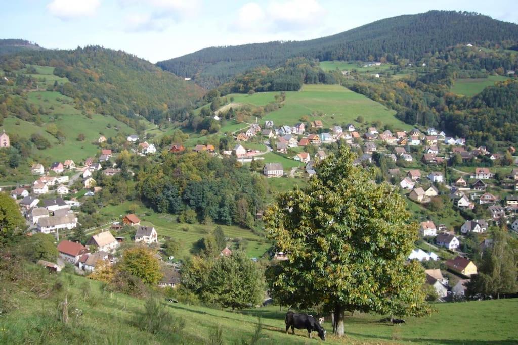 Yourte Des Verts Bois Fréland Eksteriør billede